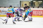 Eisbären treffen auf Artgenossen